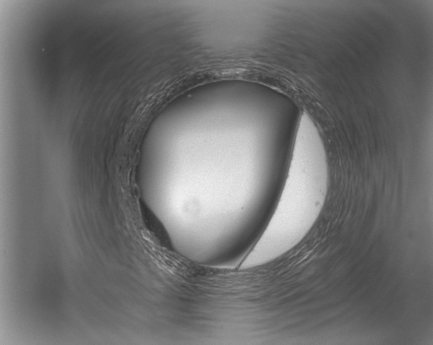X0000058801441200509300902