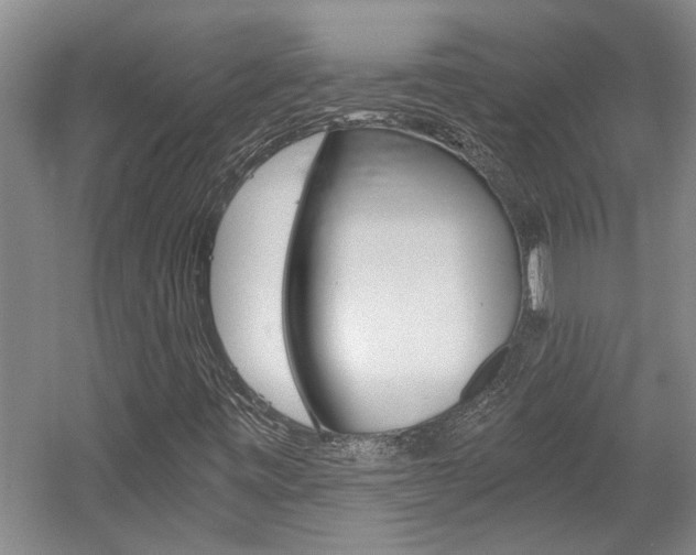 X0000058801443200509300902
