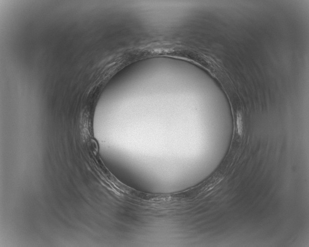 X0000058801444200509300902