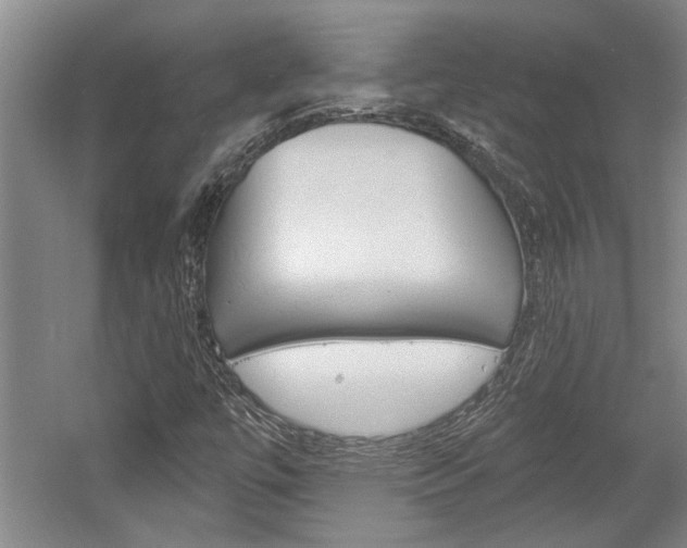 X0000058801447200509300902
