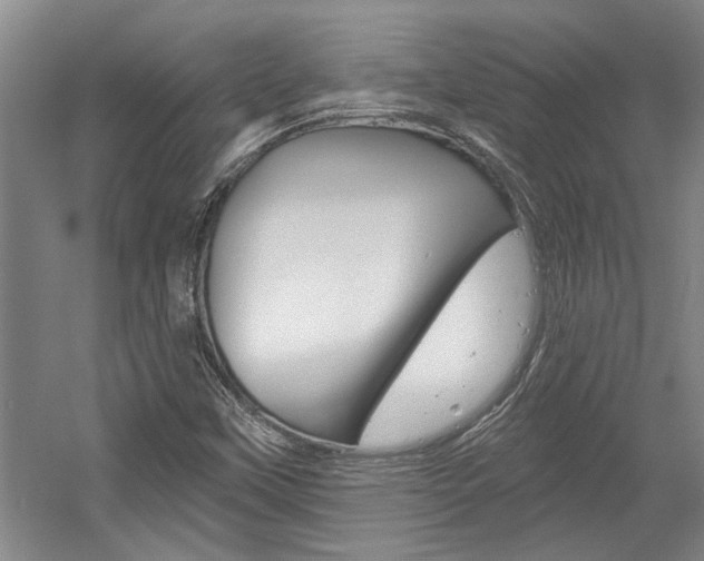 X0000058801451200509300902