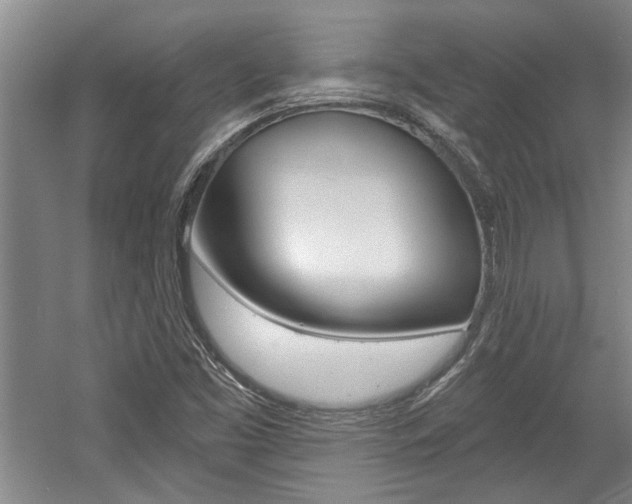 X0000058801453200509300901