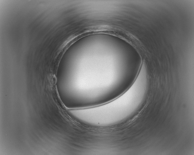 X0000058801457200509300901