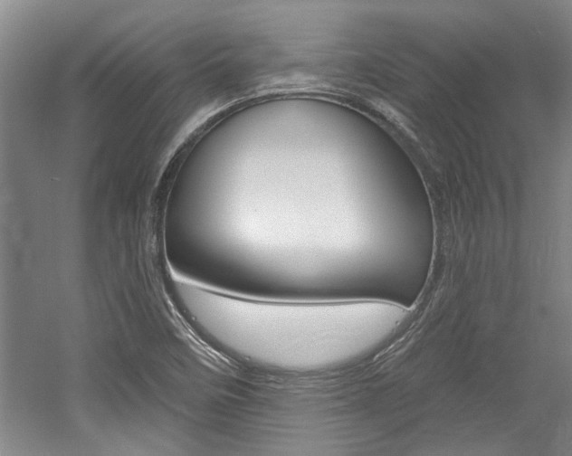 X0000058801458200509300901