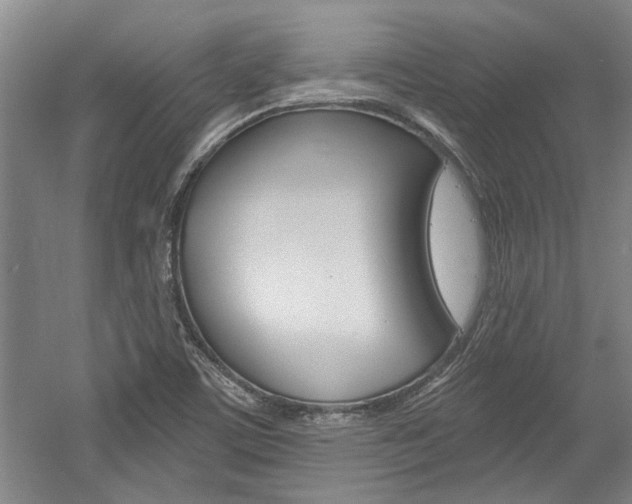X0000058801459200509300901