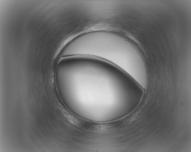 X0000058801461200509300901
