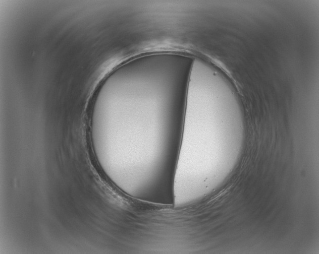 X0000058801463200509300901