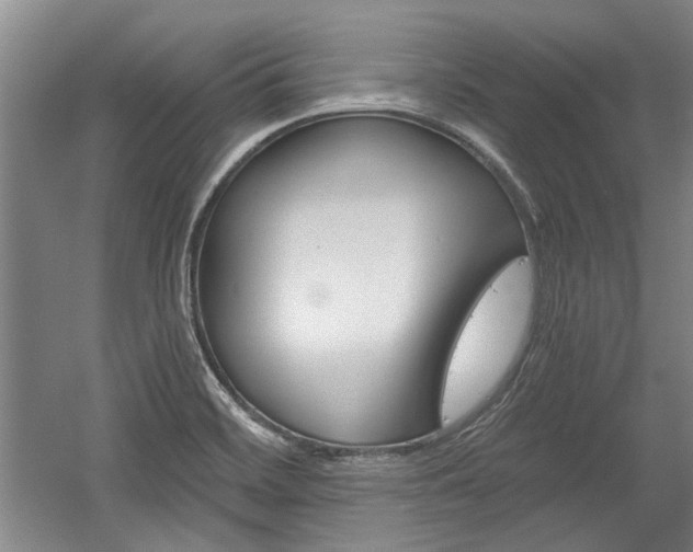 X0000058801468200509300901