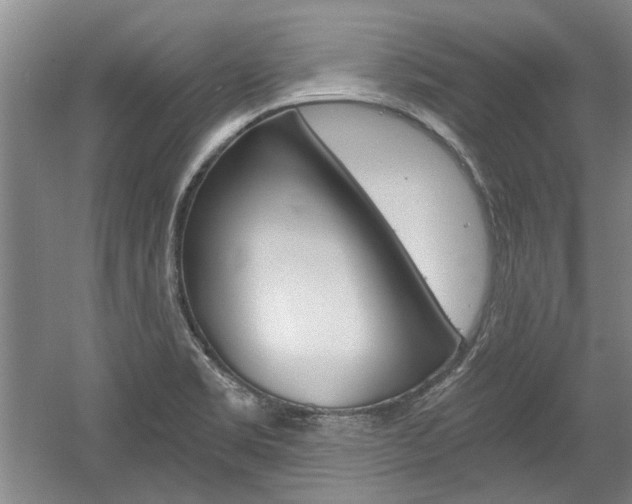 X0000058801469200509300901