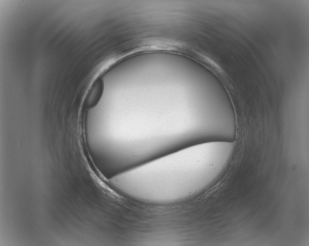 X0000058801471200509300901