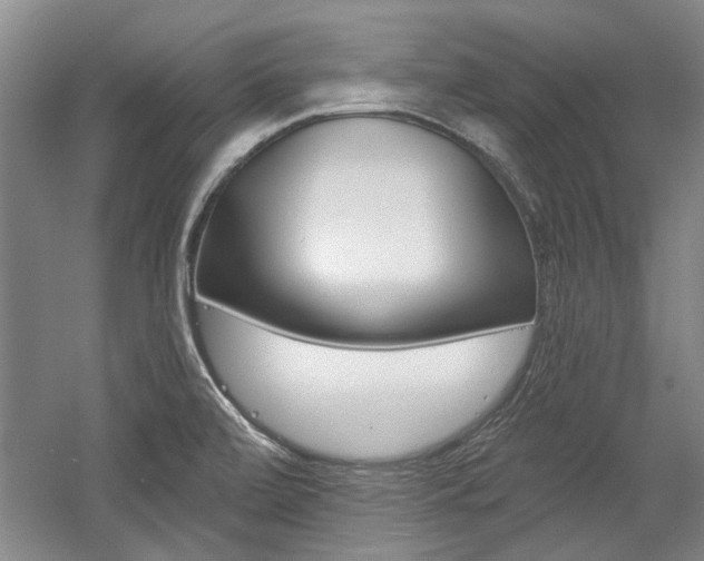 X0000058801472200509300901
