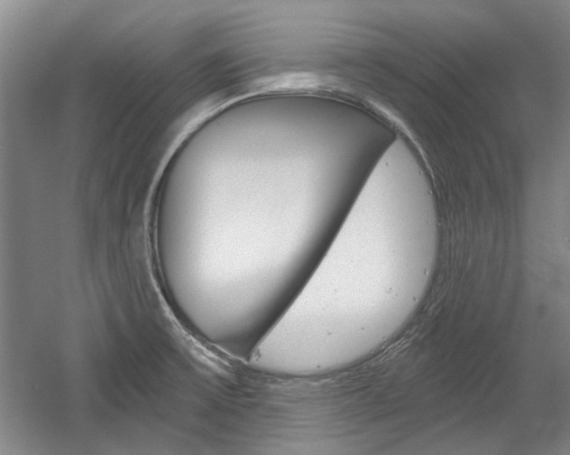 X0000058801475200509300901