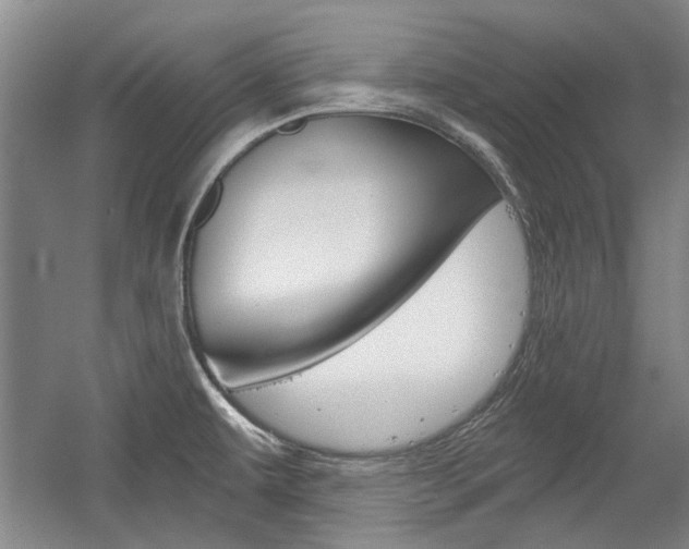 X0000058801479200509300901
