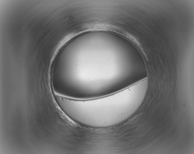 X0000058801480200509300901