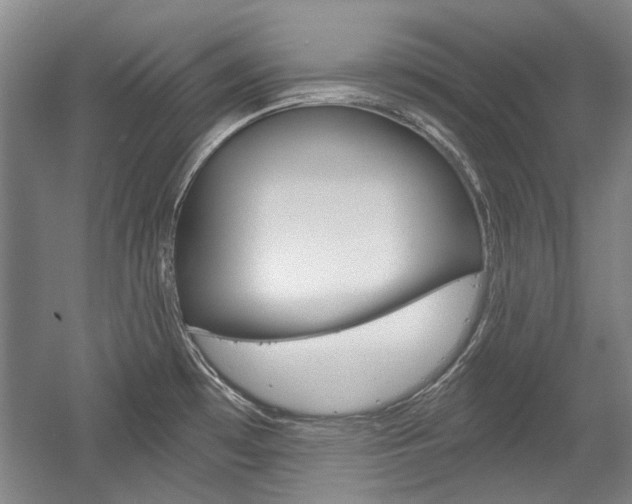 X0000058801481200509300901