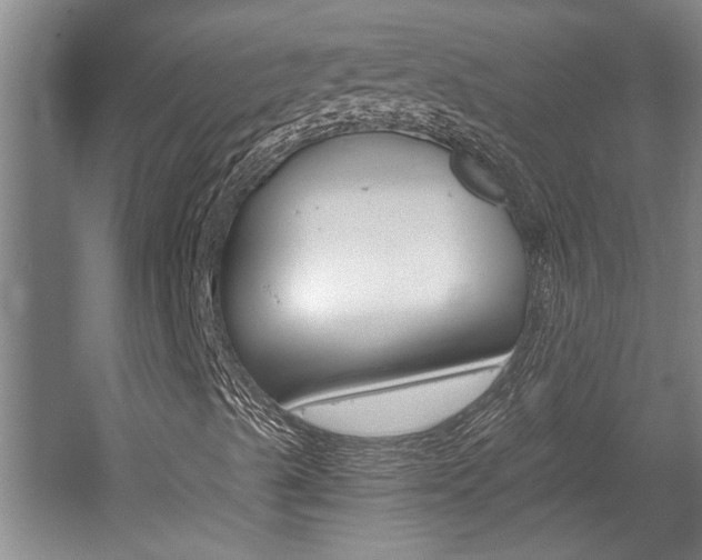 X0000058801489200509300900