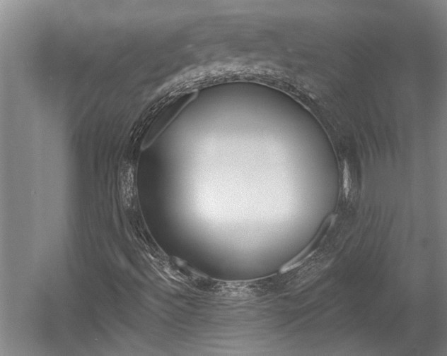 X0000058801492200509300900