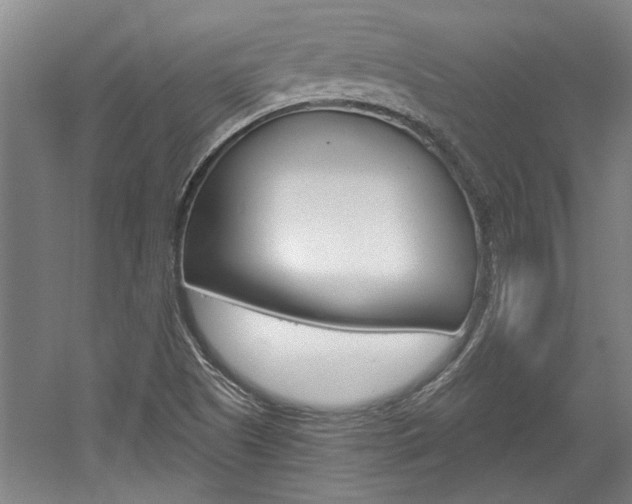 X0000058801505200509300900