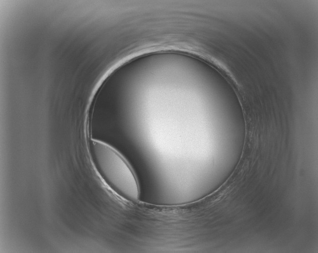 X0000058801516200509300901