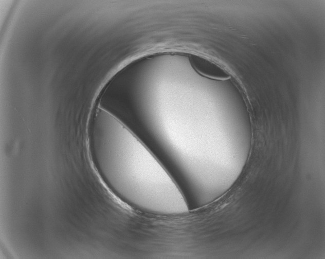 X0000058801525200509300901
