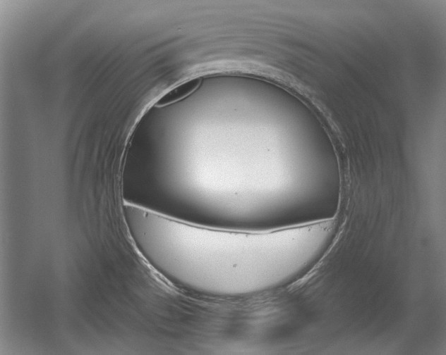 X0000058801529200509300901