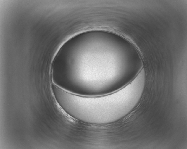 X0000058801532200509300901