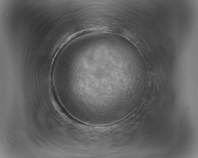 X0000058800002200509301219