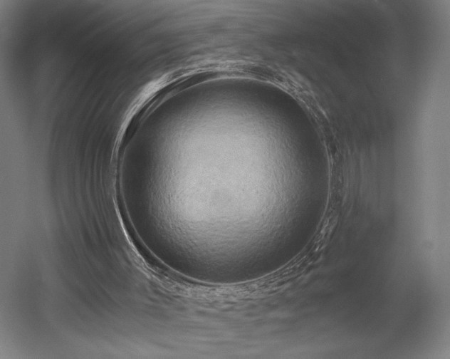 X0000058800003200509301219