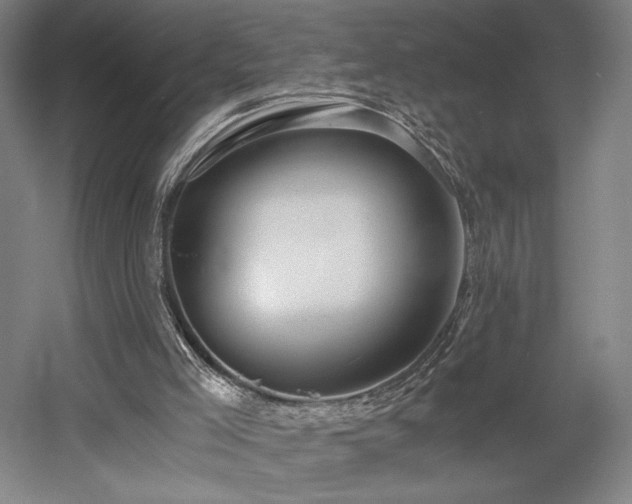 X0000058800005200509301219