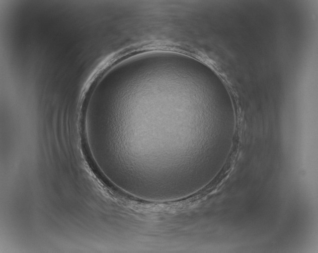 X0000058800007200509301219