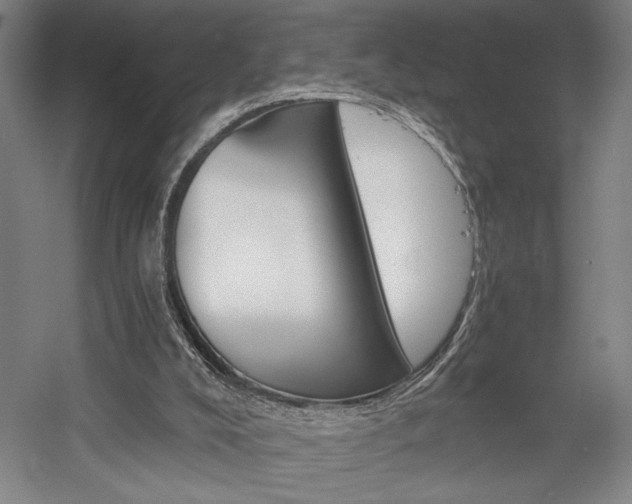 X0000058800008200509301219