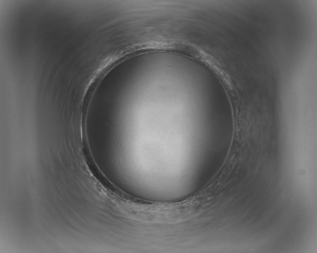 X0000058800011200509301219