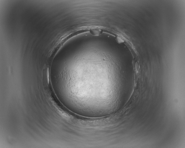 X0000058800013200509301219