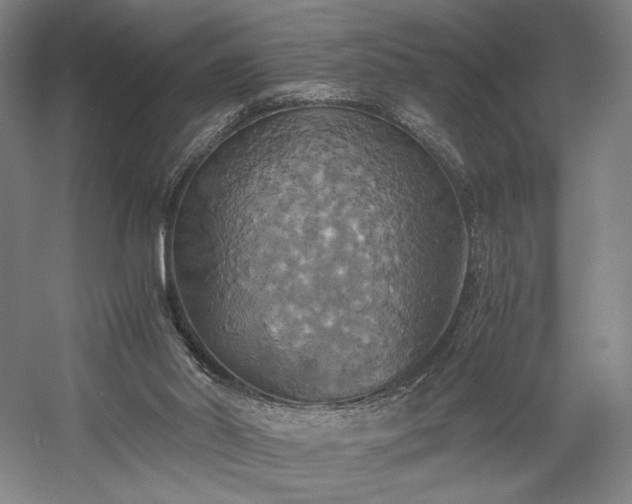 X0000058800014200509301219