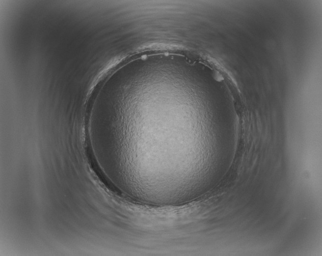 X0000058800015200509301219