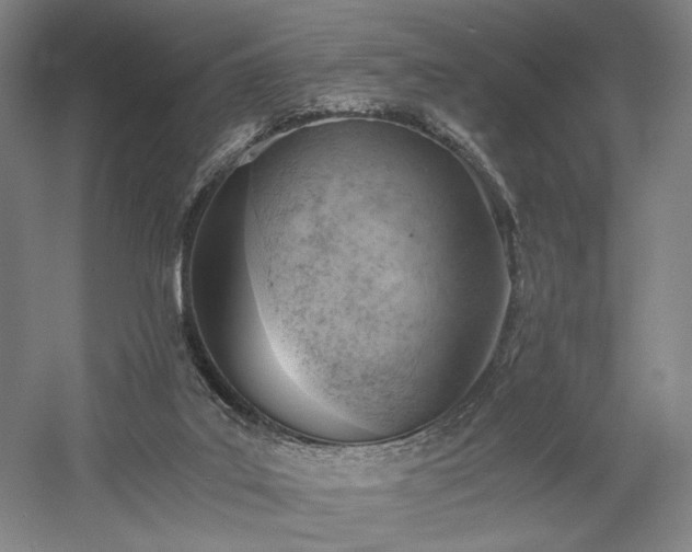 X0000058800019200509301219