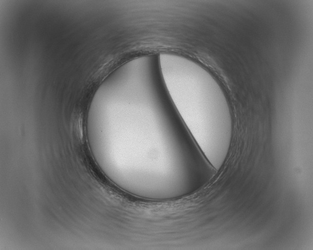 X0000058800021200509301219