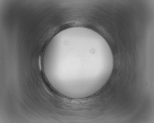 X0000058800022200509301219