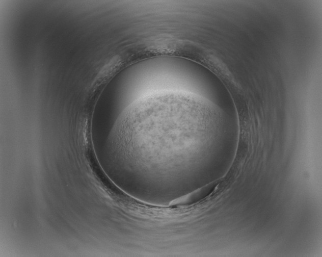 X0000058800023200509301219