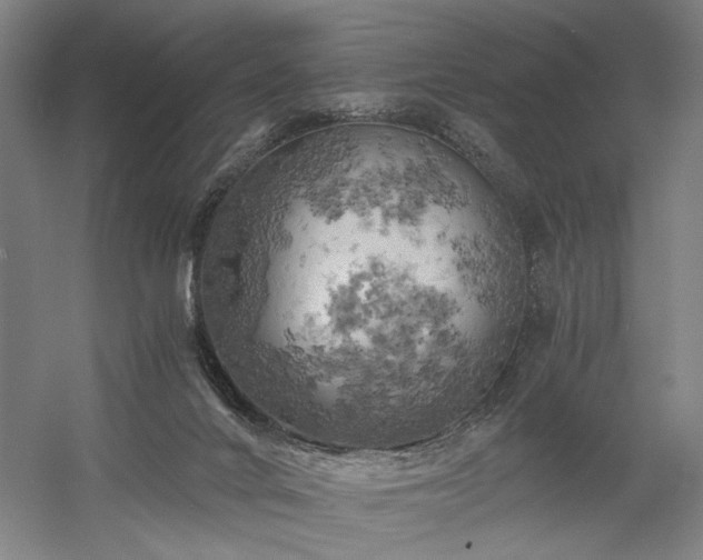 X0000058800024200509301219
