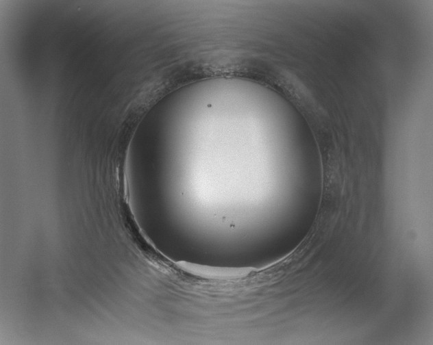 X0000058800025200509301219