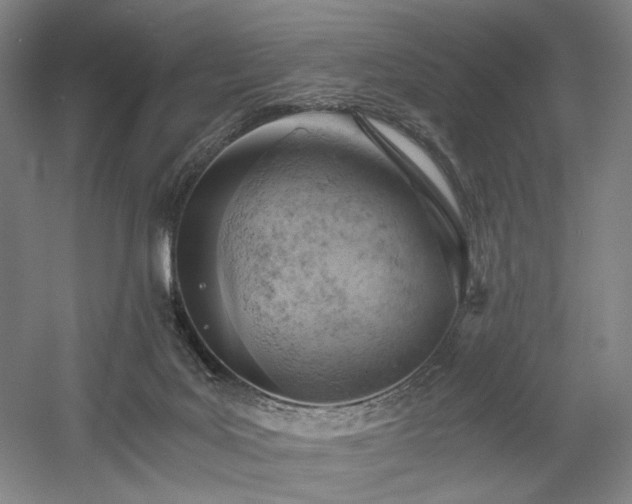 X0000058800027200509301219
