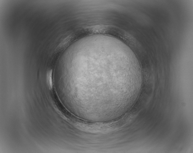 X0000058800028200509301219