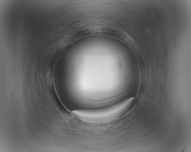 X0000058800029200509301219
