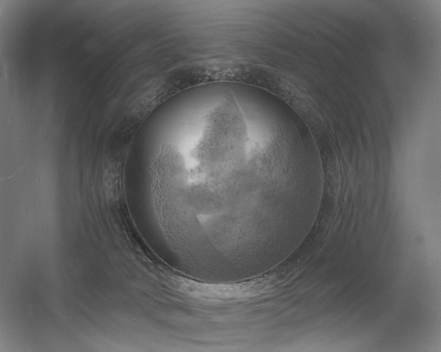 X0000058800034200509301219