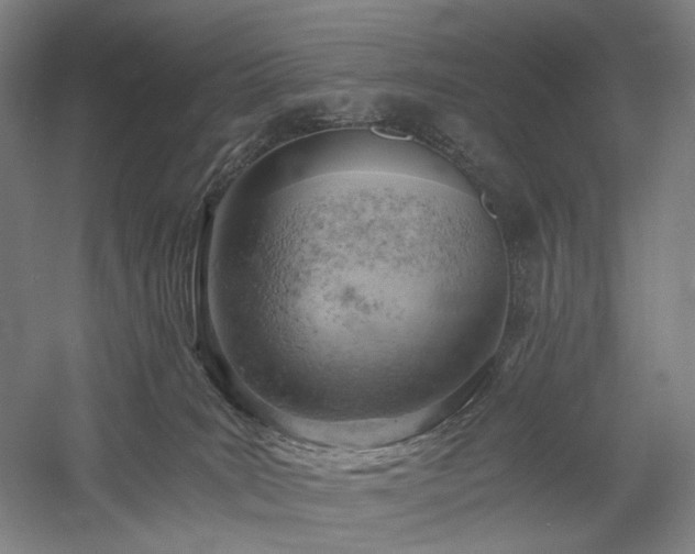 X0000058800035200509301219
