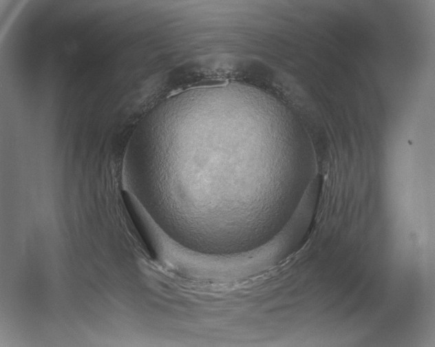 X0000058800037200509301219