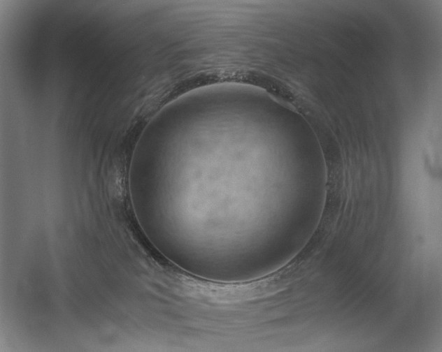 X0000058800039200509301219