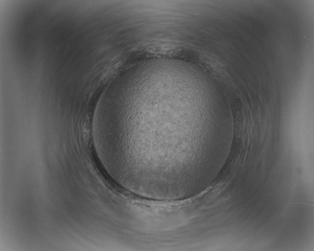 X0000058800040200509301219