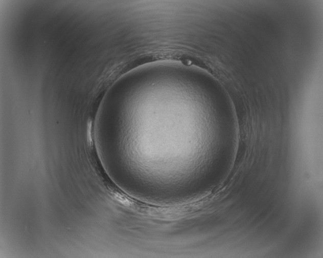 X0000058800041200509301219